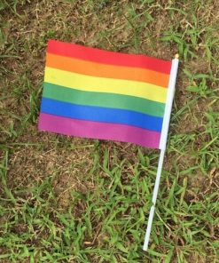 50 pcs Geminbowl Rainbow flag Hand Waving Gay Pride LGBT parade Les Bunting 14x21cm Geminbowl Brand 8780550e 095f 45be 8f62 b0eb52765d27 - Transgender Flags