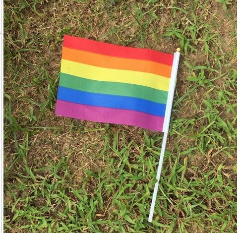 50 pcs Geminbowl Rainbow flag Hand Waving Gay Pride LGBT parade Les Bunting 14x21cm Geminbowl Brand 8780550e 095f 45be 8f62 b0eb52765d27 - Transgender Flags