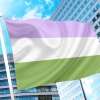 Genderqueer Pride Flag PN0112 2x3 ft (60x90cm) / 2 Grommets left Official PAN FLAG Merch