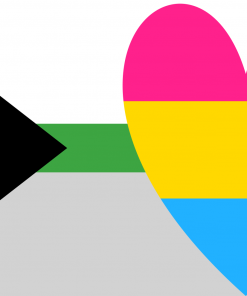 Pansexual Demiromantic Pride Flag PN0112 2x3 ft (60x90 cm) / Demi BG L Official PAN FLAG Merch