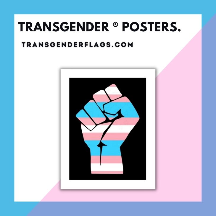 Transgender Posters - Transgender Flags