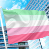 Abrosexual Pride Flag (Abro) PN0112 2x3 ft (60x90cm) / 2 Grommets Official PAN FLAG Merch