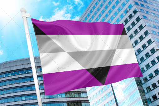 Aegosexual/Autochorissexual-Akiosexual Pride Flag PN0112 2x3 ft (60x90 cm) / Purple Official PAN FLAG Merch