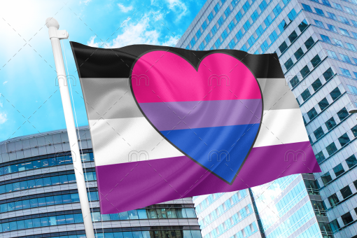 Asexual Biromantic Pride Flag PN0112 2x3 ft (60x90 cm) / 2 Grommets left Official PAN FLAG Merch