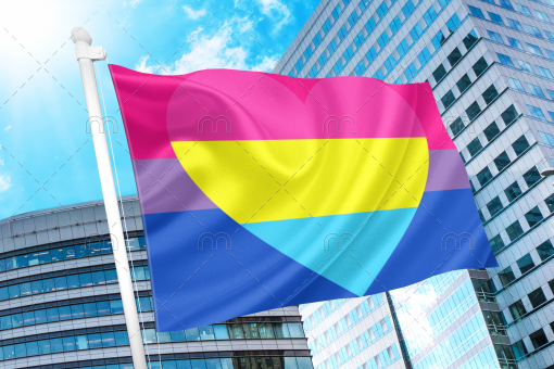 Bisexual Panromantic Pride Flag PN0112 2x3 ft(60x90 cm) / 2 Grommets left Official PAN FLAG Merch