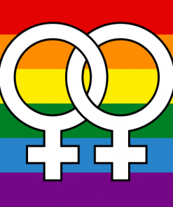 Pride Homosexual Rainbow Flag - Large2 PN0112 3x5 ft (90x150 cm) Official PAN FLAG Merch