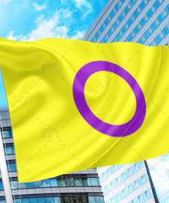 Intersex Pride Flag by Organization Intersex International Australia PN0112 3x5 ft (90x150cm) / 2 Grommets Official PAN FLAG Merch
