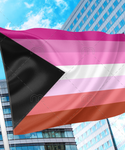 Lesbian Demisexual Flag PN0112 2x3ft (60x90cm) / 2 Grommets left Official PAN FLAG Merch