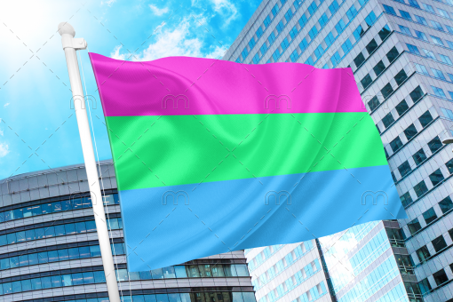 Polysexual Pride Flag PN0112 2x3 ft (60x90cm) / 2 Grommets Official PAN FLAG Merch