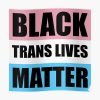 Black Trans Lives Matter Poster RB0403 product Offical transgender flag Merch