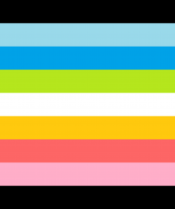 2x3 ft (60x90 cm) / 4 Grommets Official PAN FLAG Merch