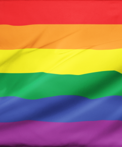 rainbowflag 0ee69b78 6fb7 425b 9e01 5a6368323f7e - Transgender Flags